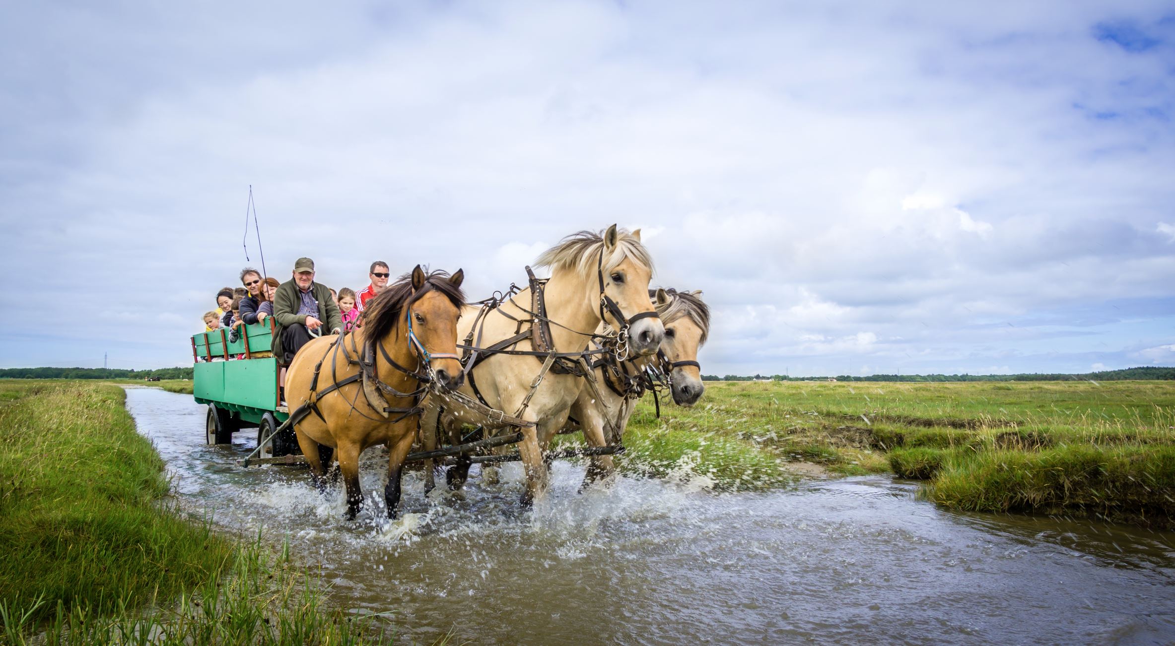 Krogbækgaard  - Hestevognsture